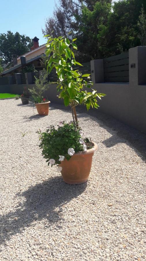 Apartman Nicolle Brzac Exteriör bild